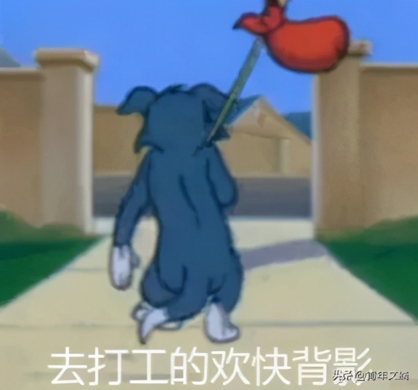 开心一刻｜今年双十一来得太早，我们都是尾款人