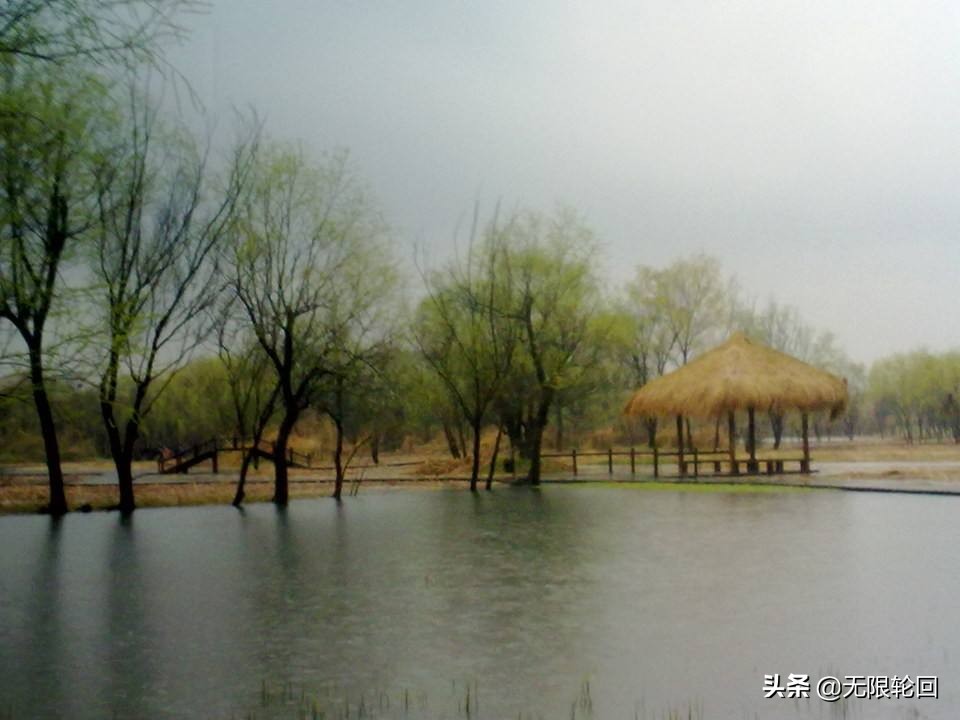 咏春雨的诗句有哪些(关于春雨的诗句古诗大全)