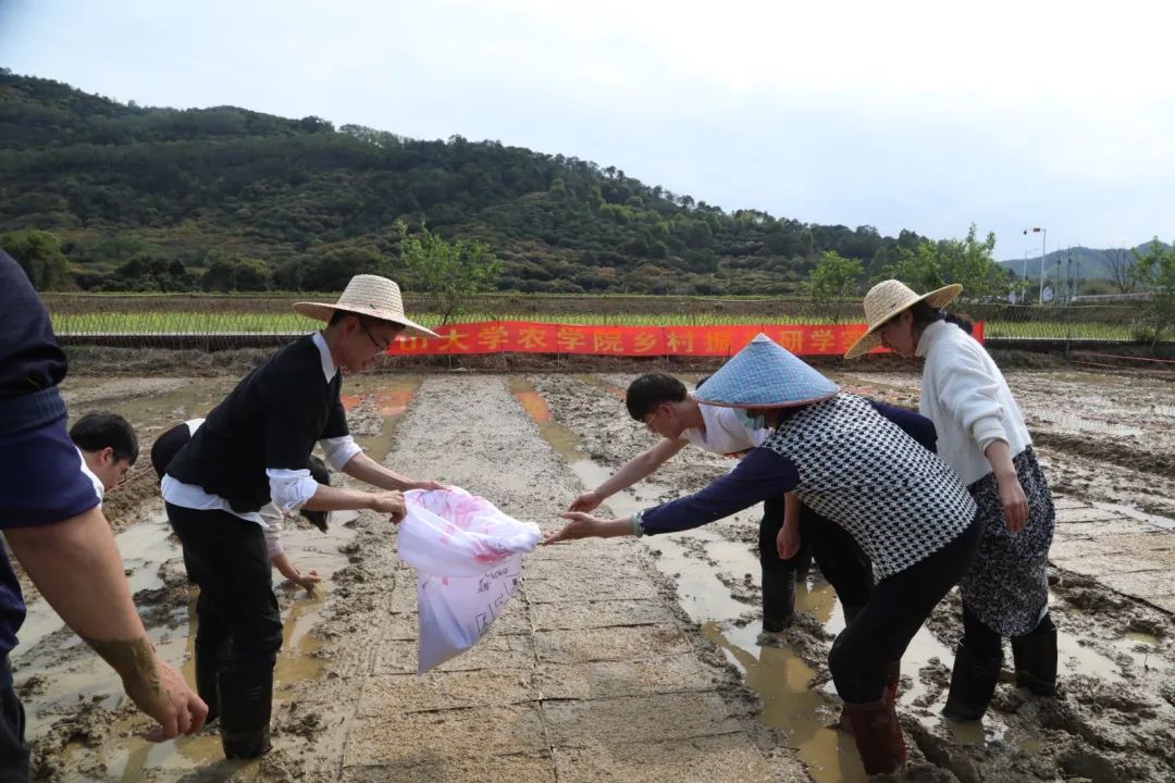 从化｜打造产学研高地，中山大学农学院助推街口谱写乡村振兴新篇章