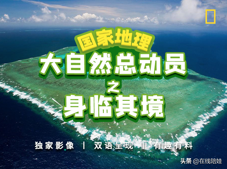 惊艳的视听盛宴，国家地理科普百科双语50集，孩子学习太适合了