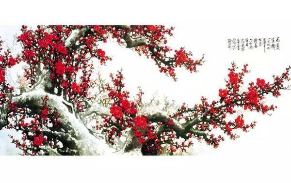 西江月梅花古诗苏轼的诗词西江月