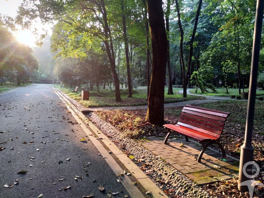 餐厅配备钢琴，三大校区美不胜收，还是西游记拍摄地！四川这所高校让人心动
