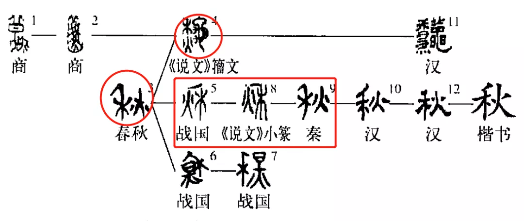 秋虫之乐：唧唧复唧唧