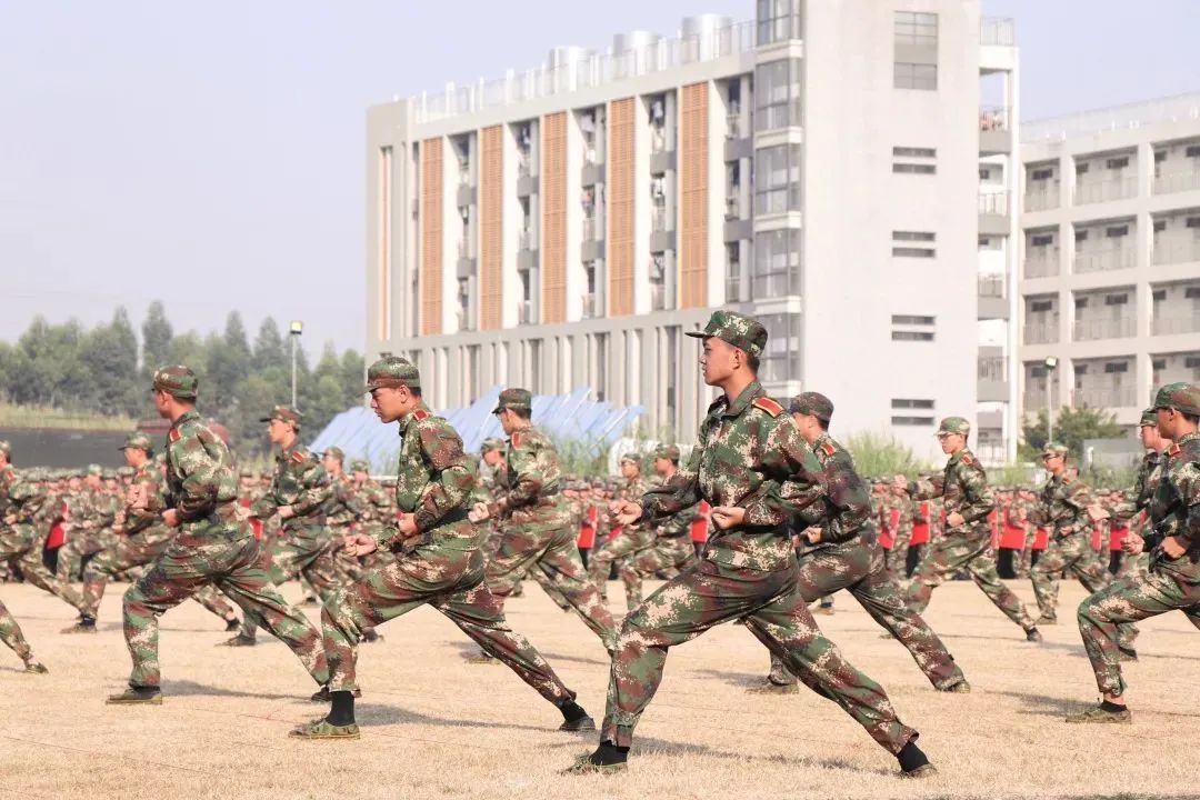 高职高考必看｜全面了解广东技术师范大学
