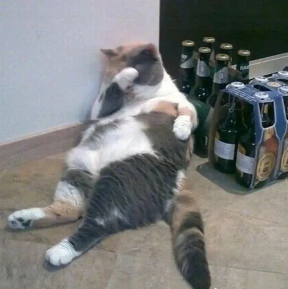 这些专业全部取消学位！新一轮自考改革开始了