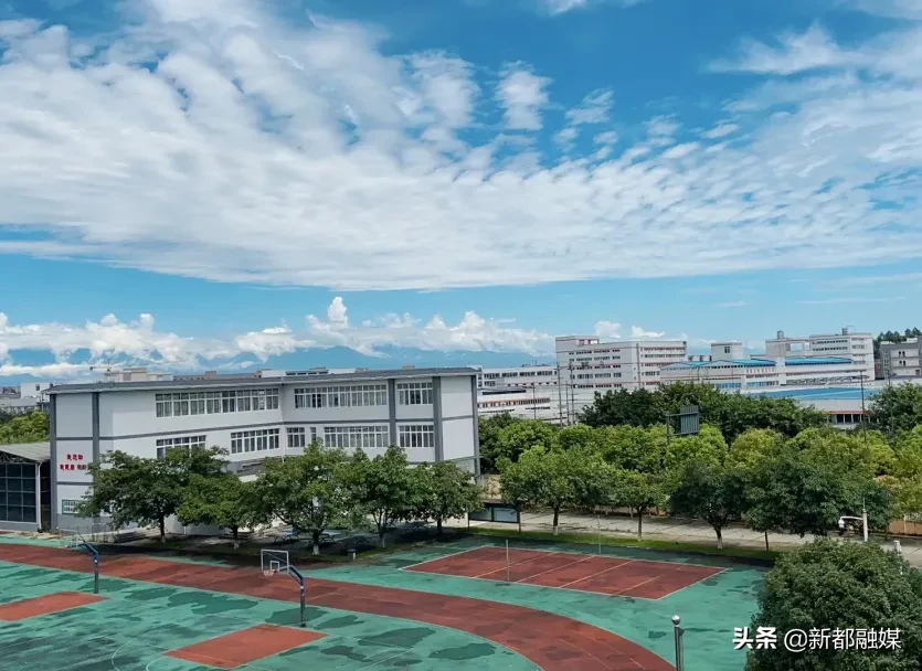 开学了，新都区47所学校风采展示