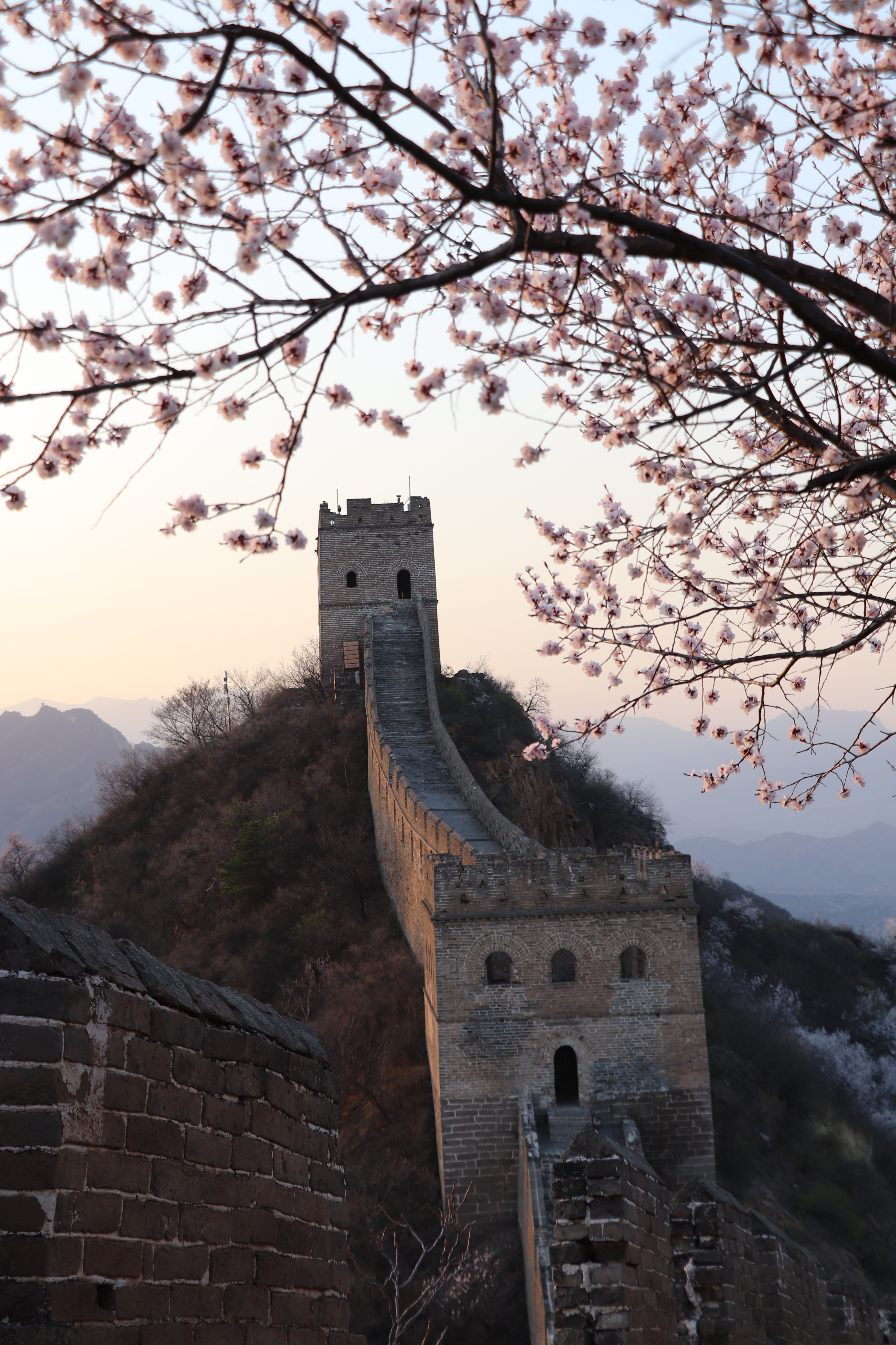 在草原看日出、日落，除了欣赏美景，还要细品那股青草味