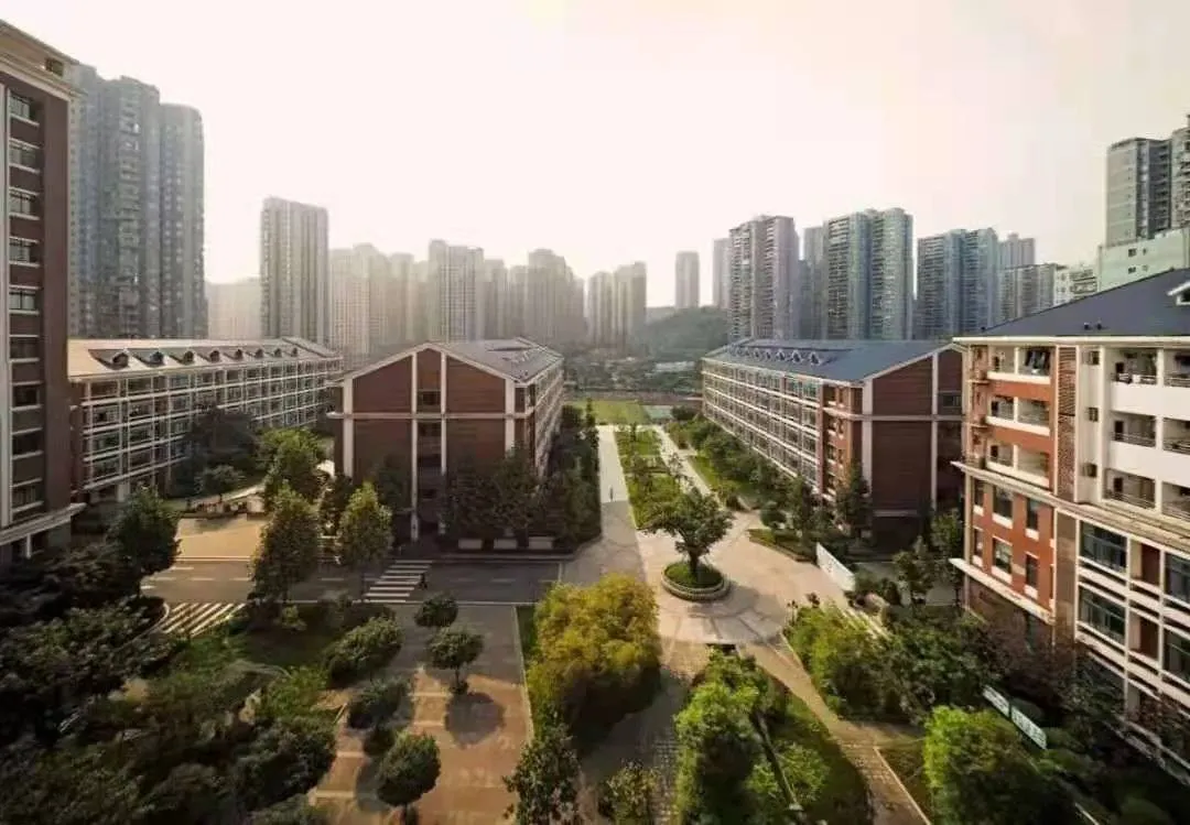 照母山学区价格太高？来看看这六所单办初中联盟