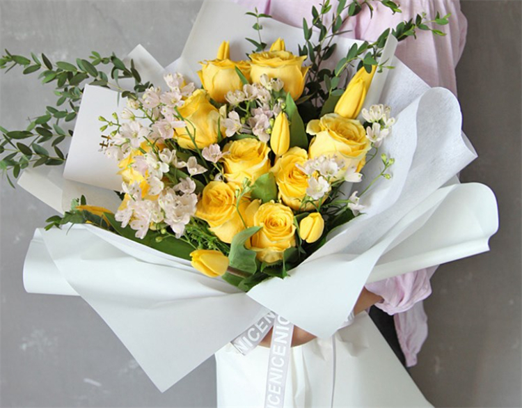 求原谅送什么花好（分享8种鲜花为爱谅解）