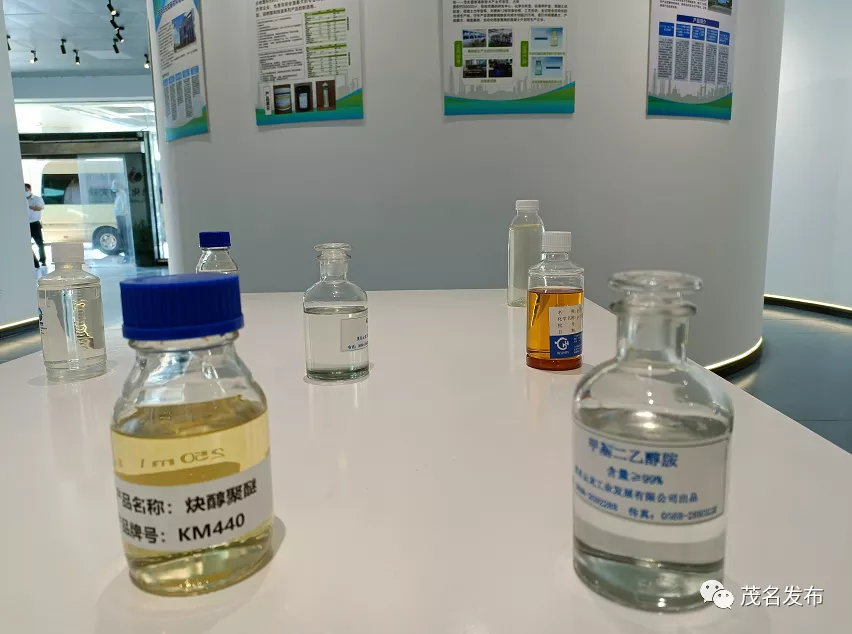 庄悦群到广东石油化工学院及茂名绿色化工研究院调研：以科技创新赋能产业转型升级