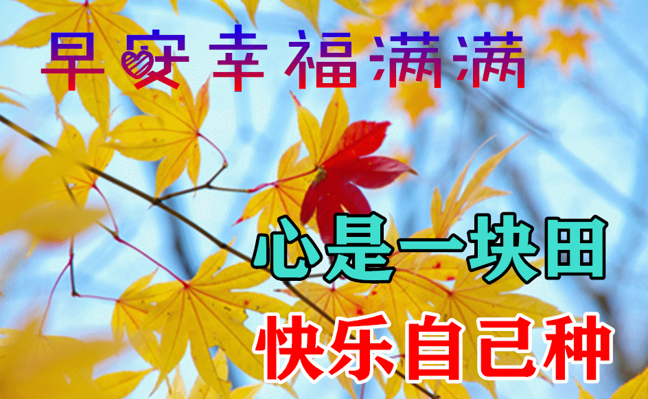 「2021.10.24」早安心语，正能量精辟语录句子，漂亮的早上好图片