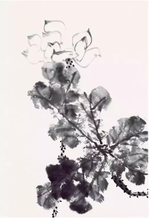 国画荷花《清水出芙蓉》的画法