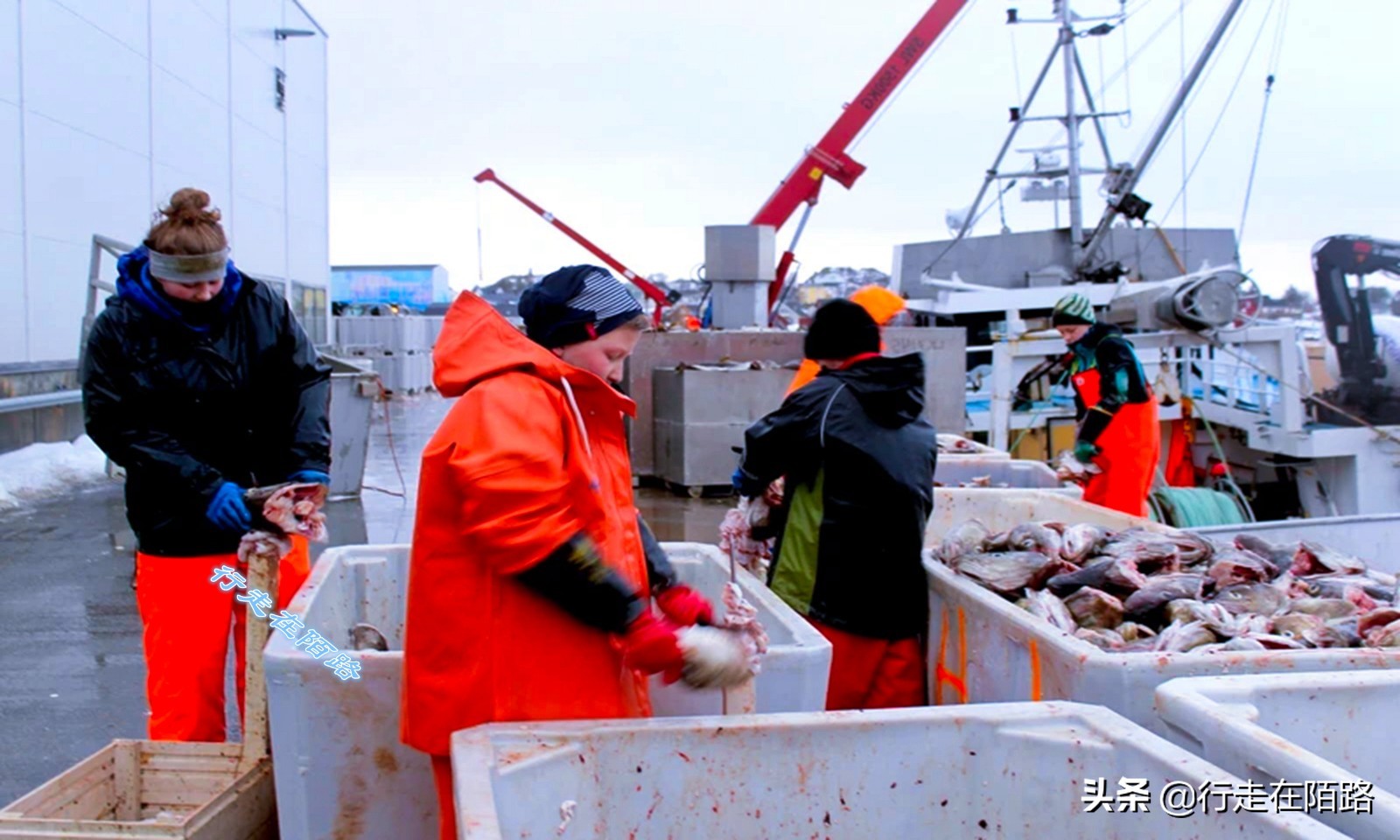 建足球场多少钱(砸锅卖铁满足你：因为少年一句话，渔民花700万建足球场)