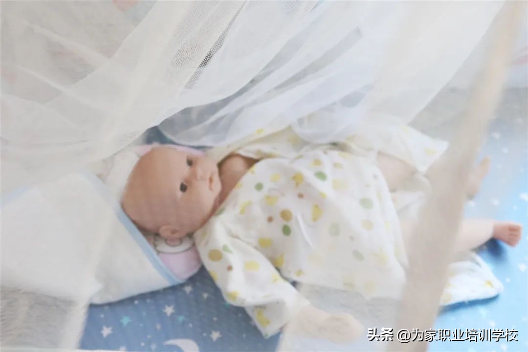 这个家政培训学校太厉害了！为家职业培训学校简介