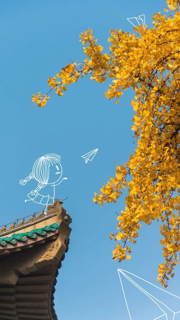 你的理想大学，终于被做成了手机壁纸