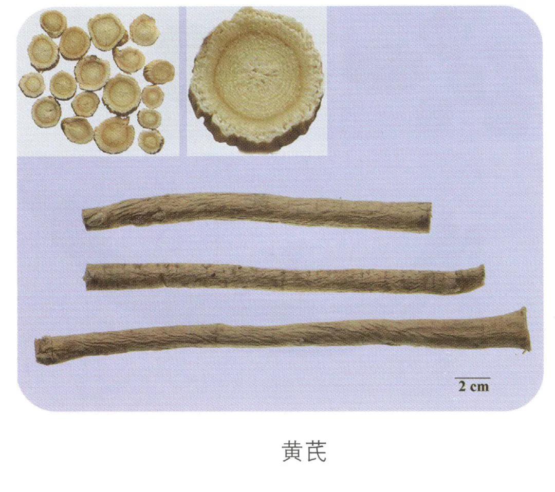 中药鉴定|37味中药新旧彩图对比