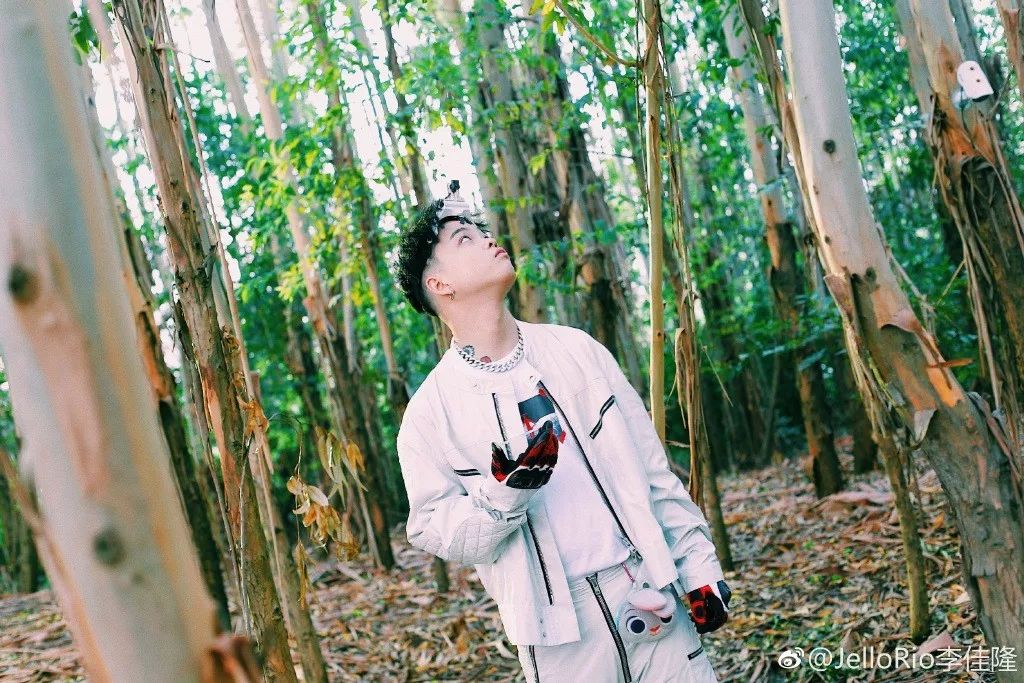 到底什么才是HipHop音乐里的“音乐性”(嘻哈音乐的特征)