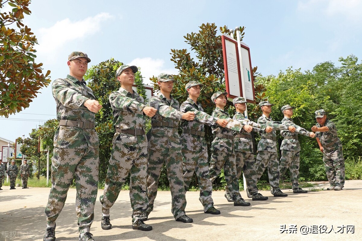 从参军到退役有哪些实用政策你还不清楚？第二期来啦