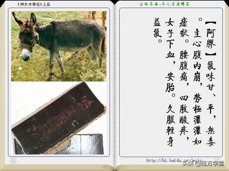 《神农本草经》全册图文解析 建议收藏