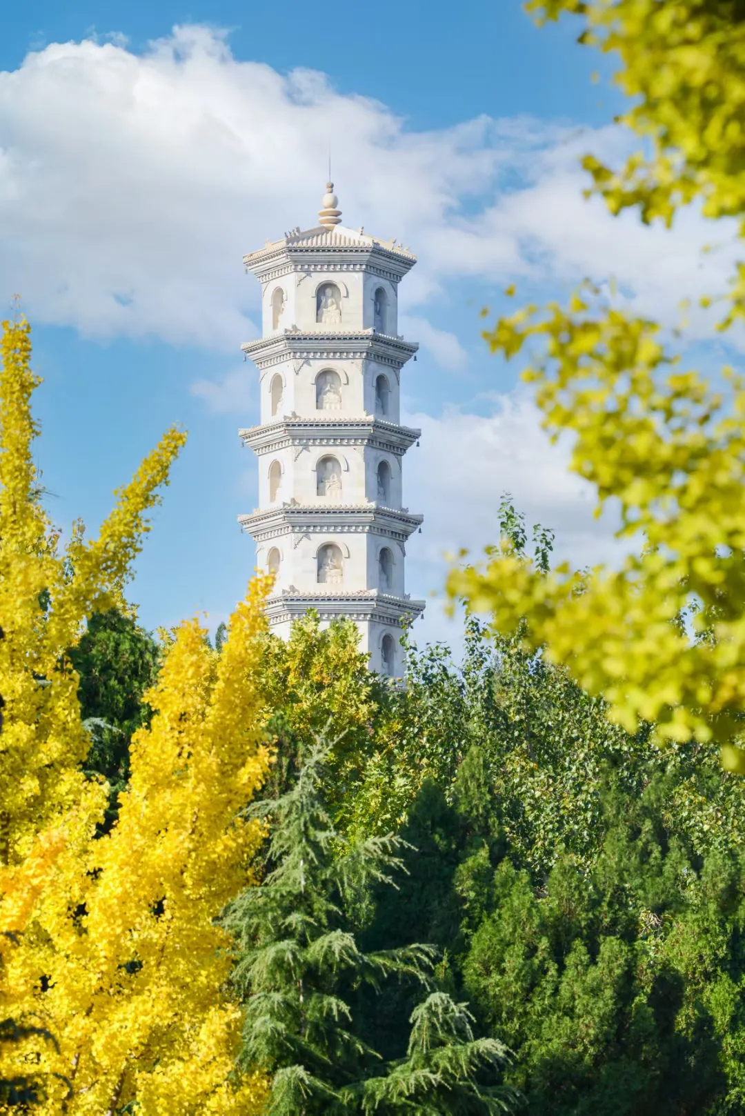 烟台这个5A景区浓缩了晚秋的绚烂，看图已醉