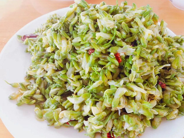 终于可以报仇了,一到春天就乱飞的柳絮竟然可以吃,凉拌后很美味