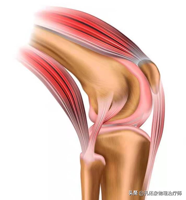 膝关节疼痛是怎么回事？常见的6个部位、8大病因，不可忽视