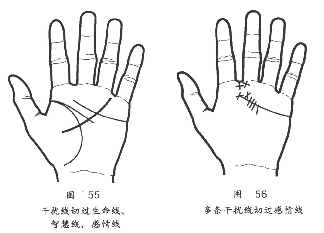 手掌中密密麻麻都是细纹称为干扰线也叫障碍线，反映近期身体状况