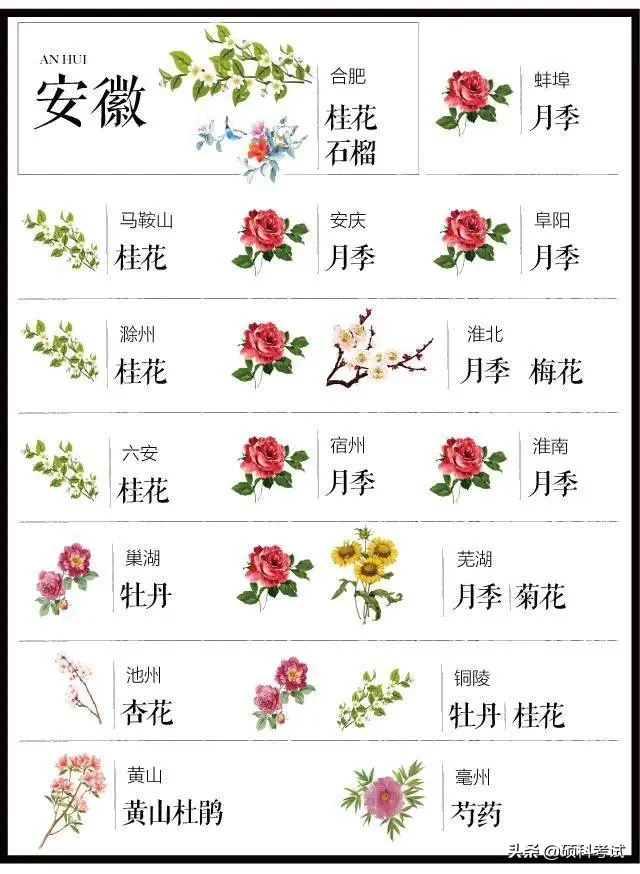 中国城市市花大全(我国204个城市市花大全，看花涨知识，你市什么花？)