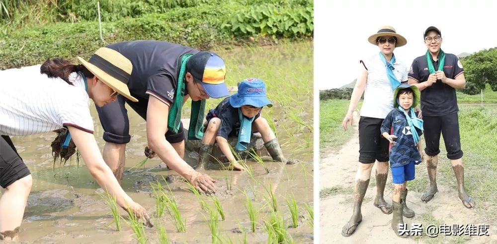 郭晶晶生了几个宝宝叫什么名字(38岁“跳水女皇”郭晶晶，嫁入千亿豪门连生3胎，今一家5口很幸福)