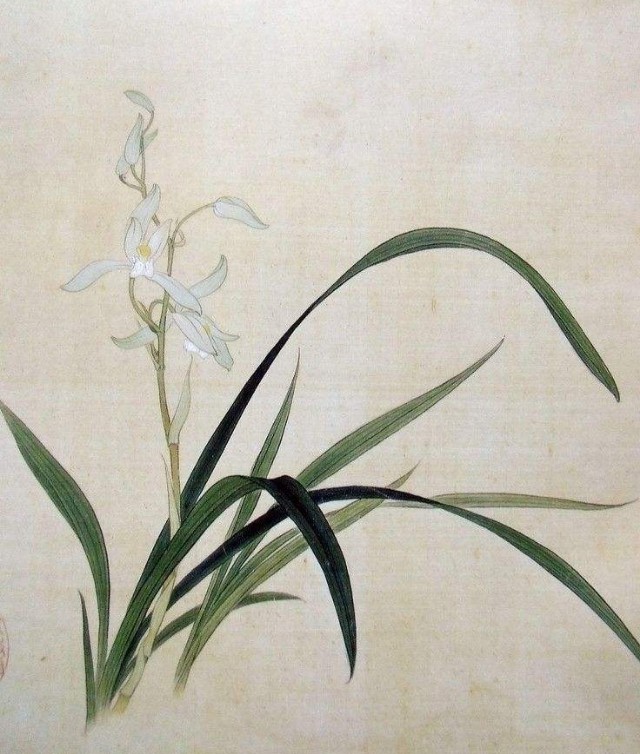 兰花的诗句赞美兰花的诗句（形容兰花淡雅的诗句）-第9张图片-大连信息网