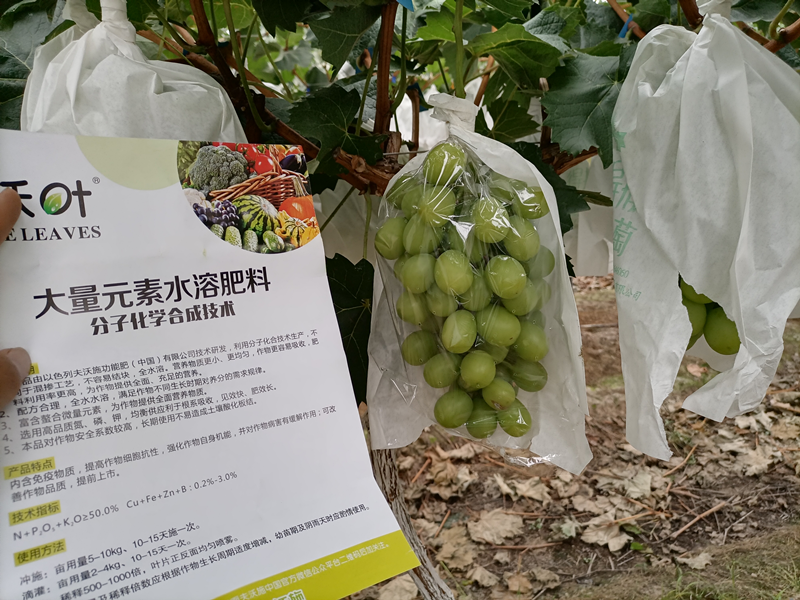 水溶肥十大品牌推荐：优质水溶肥料选购指南
