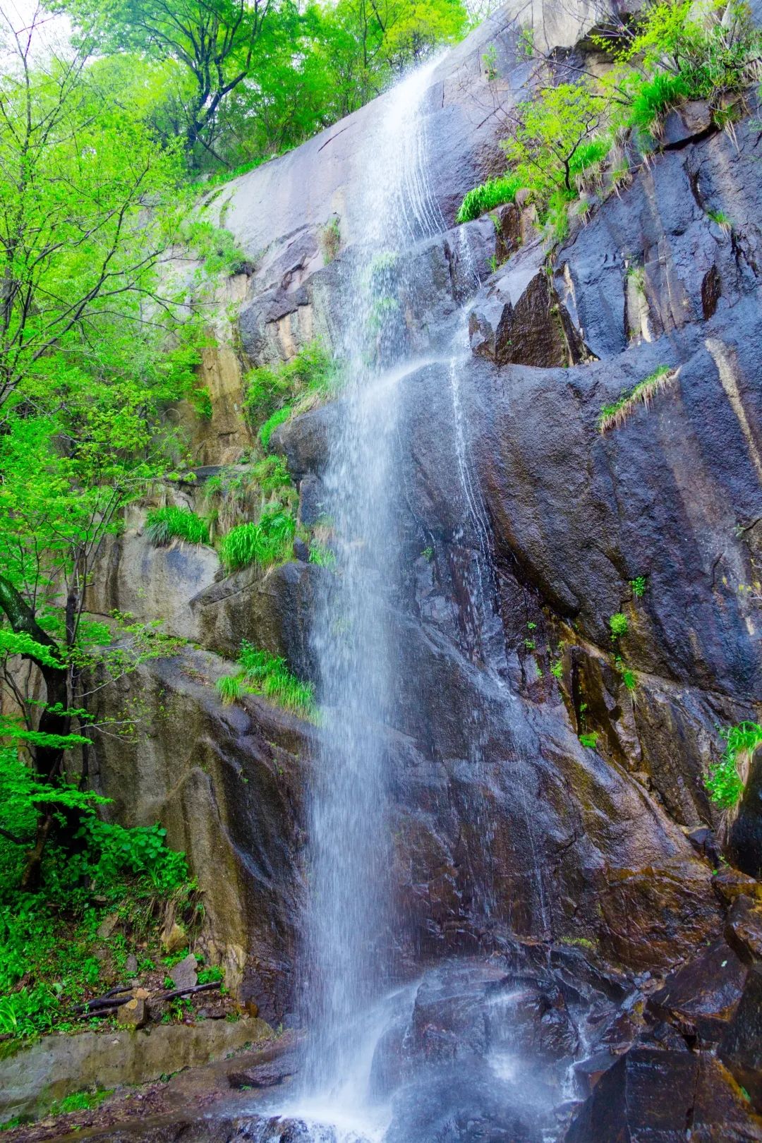 门票,游玩票不限量免费送!鲁山·天龙池景区秋季狂欢!