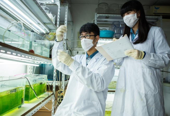 顶尖名校“中科大”考研爆冷，263分就能进复试，考生成功捡漏