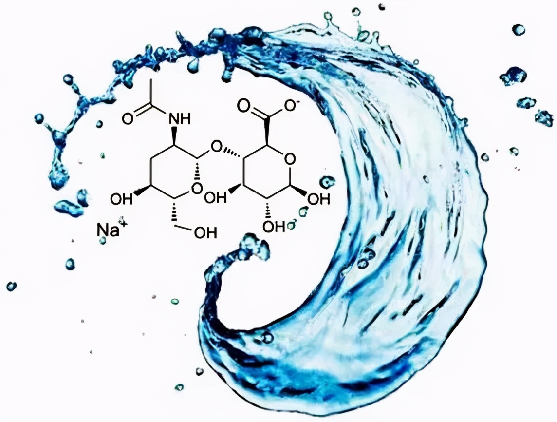 透明质酸，关乎美容，也关乎长寿？
