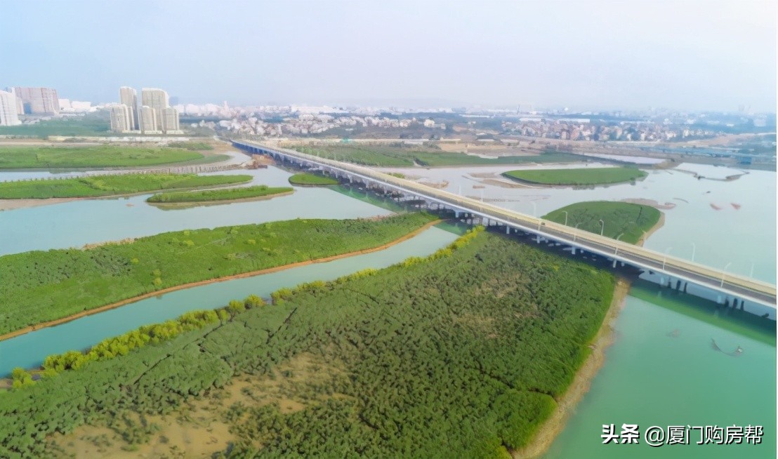 厉害了厦门，又是第一