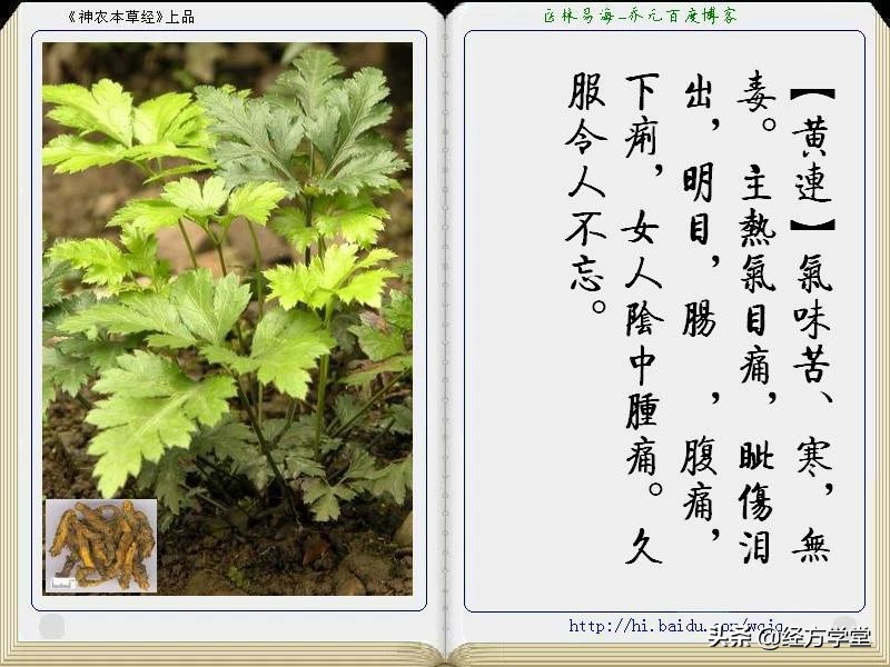 《神农本草经》全册图文解析 建议收藏