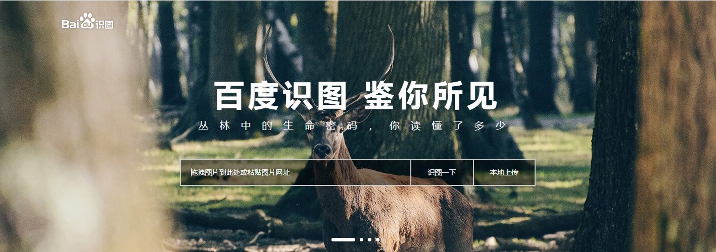 谷歌超强免费插件！一键下载上千张图片，网友：解放双手了！