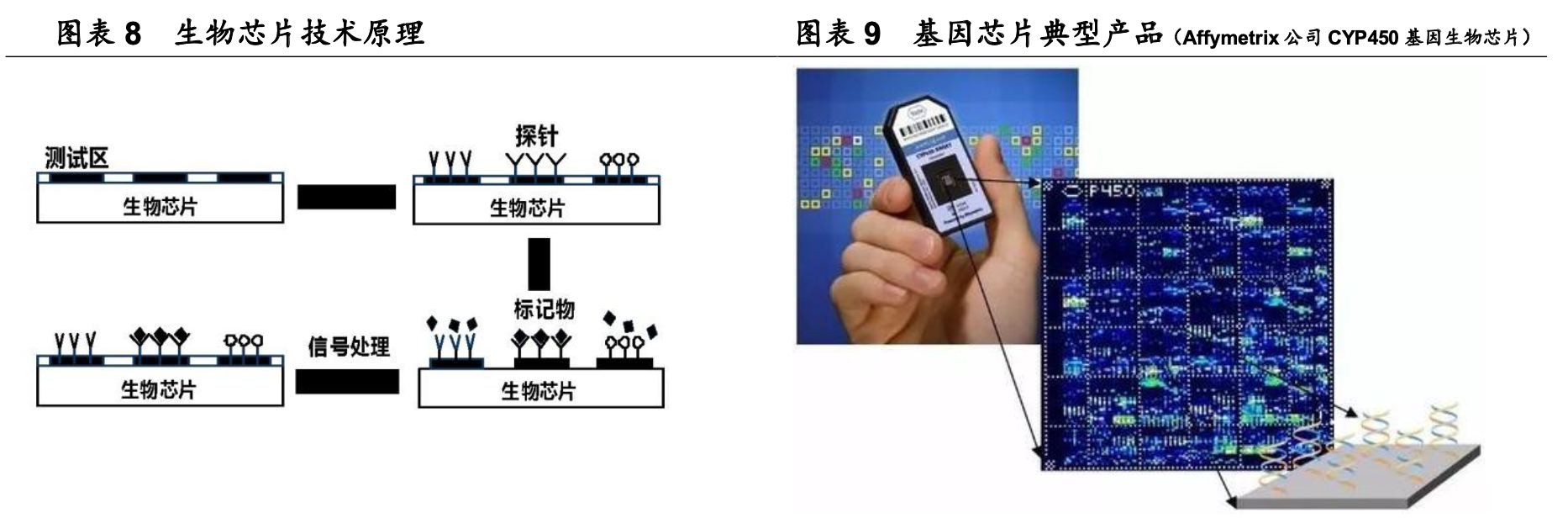 三诺生物招聘（行业深度）