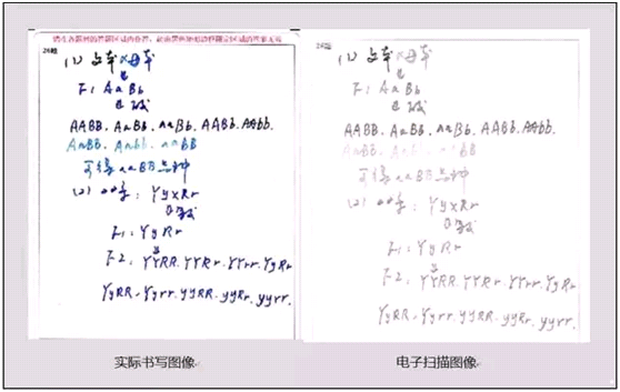 明天高考！官方权威提醒考生：这个“细节”不注意，小心高考得0分！