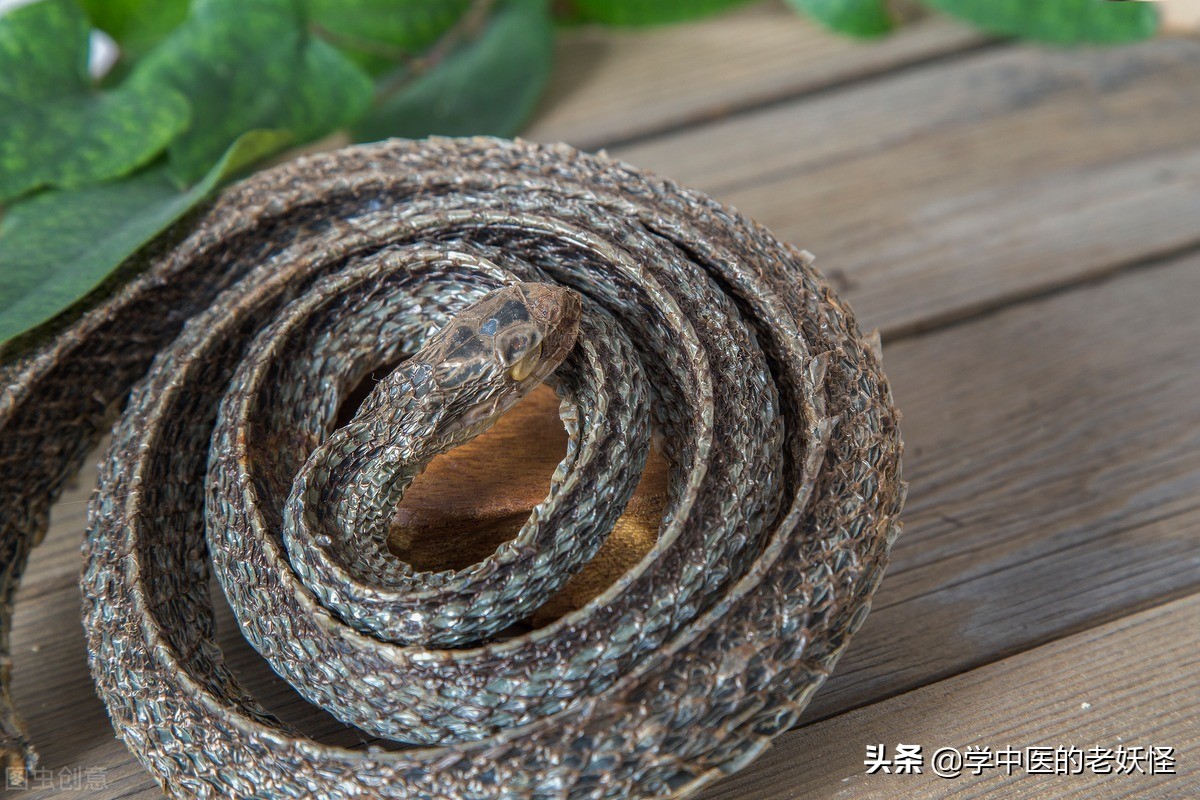 10斤乌梢蛇图片