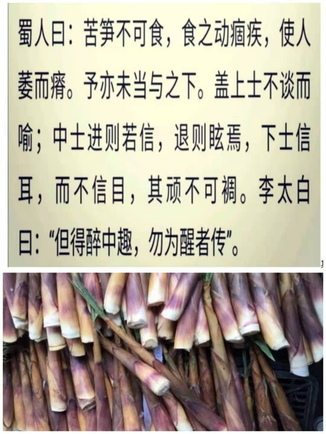 苦笋陆游原文及翻译「苦笋陆游原文及翻译」