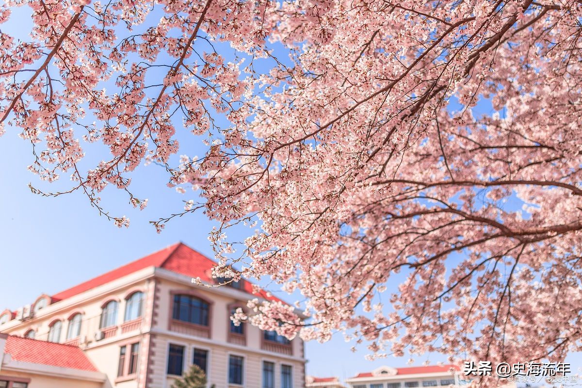 高考400-550分可以录取的一段和二段大学！共376所，山东学子加油