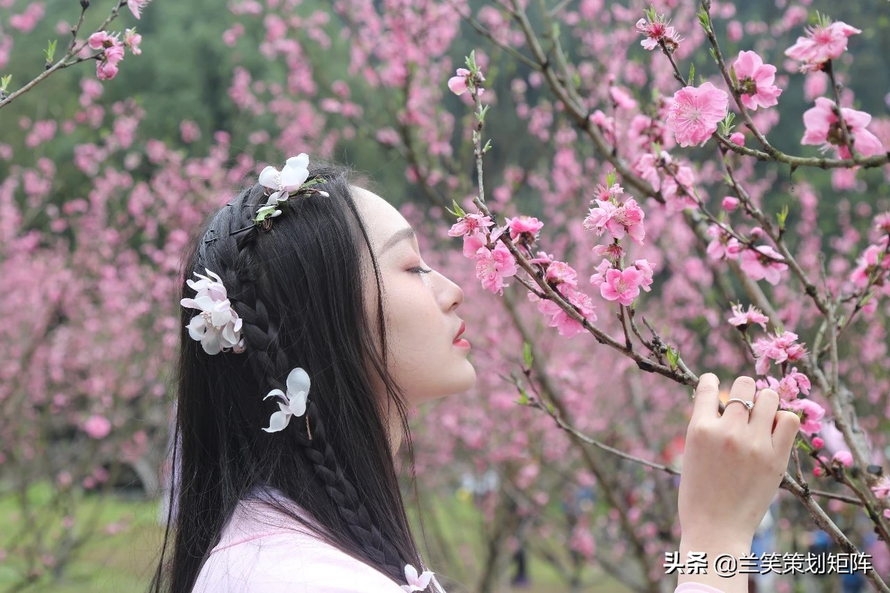 诗情桃花源 | 此生，只为你盛开这朵桃
