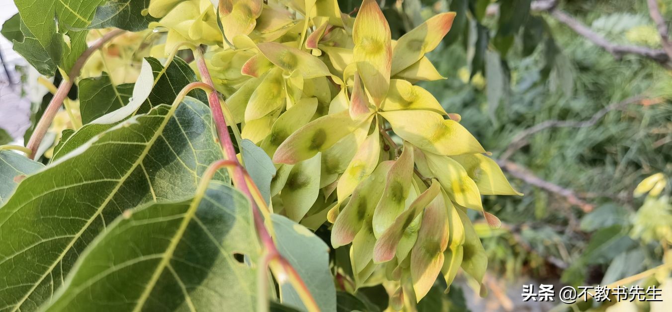 山东大学几个校区分布（山东45所公办本科高校名单）