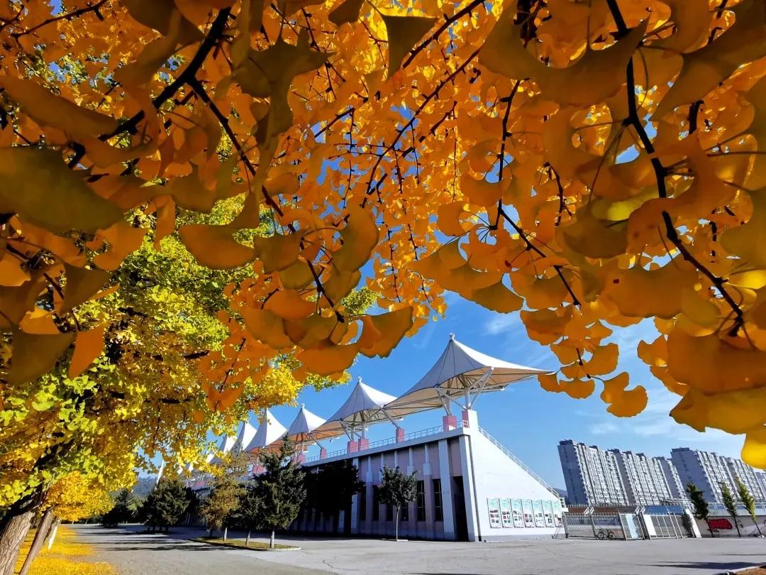 辽宁省普通高等院校(二十一)辽宁石油化工大学