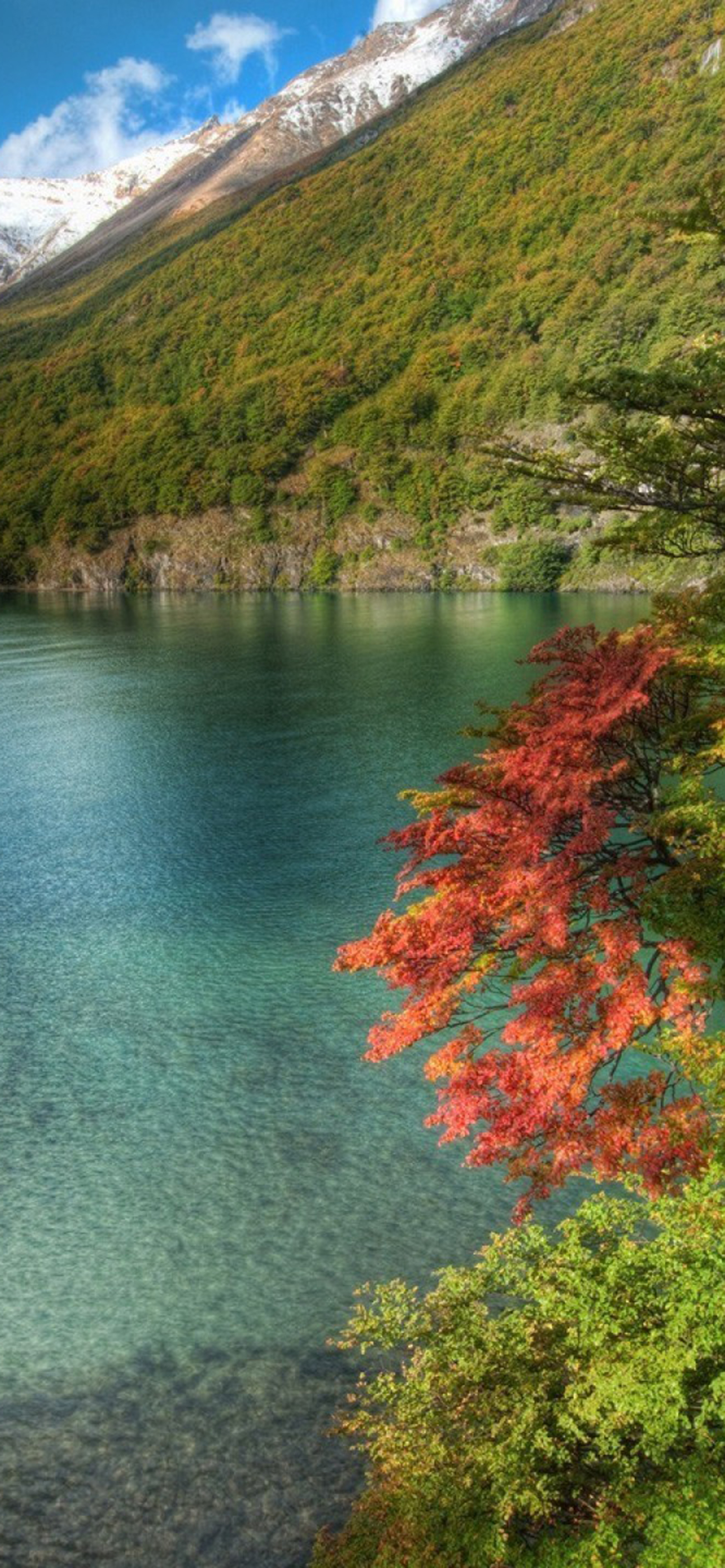 高清壁纸丨No.200期丨高清自然美景，风景如画，尽显田园诗意