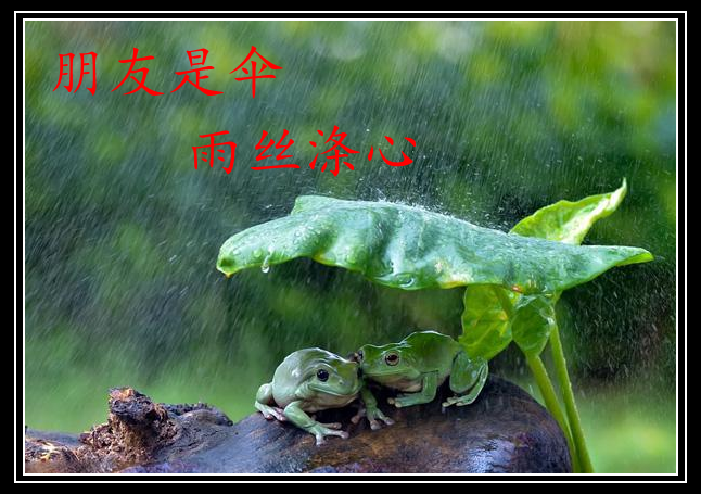 关于下雨很大搞笑散文诗(形容下雨很大的搞笑句子)
