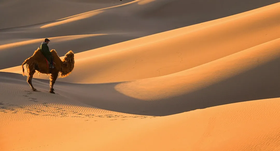 一个小技巧，教你查询自己名下所有的保单