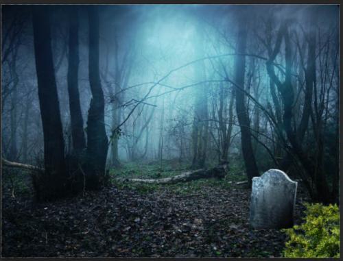 在这儿和她拜堂成亲,没有亲属没有好友,只有周围星星点点的鬼火跳动着