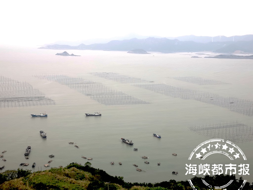 明日开抢！纯天然海岛虾皮 快来海都“嗨购”